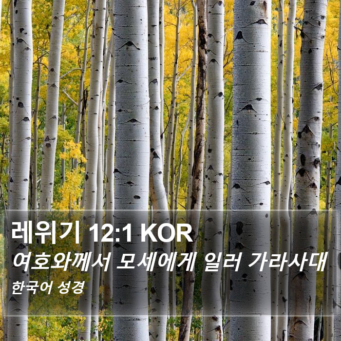 레위기 12:1 KOR Bible Study