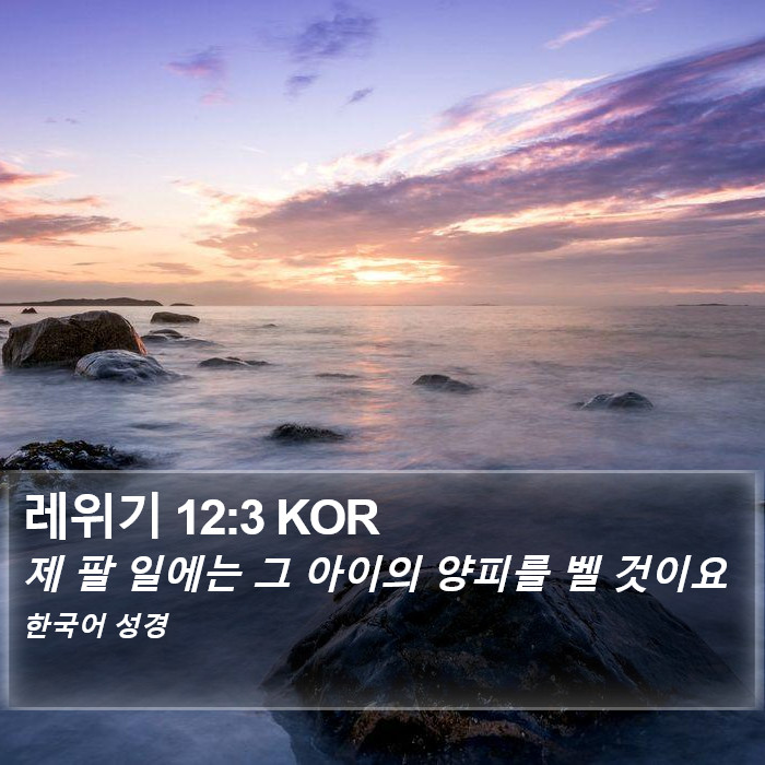 레위기 12:3 KOR Bible Study