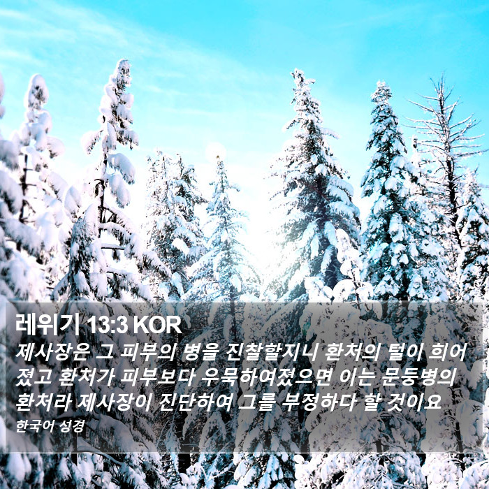 레위기 13:3 KOR Bible Study