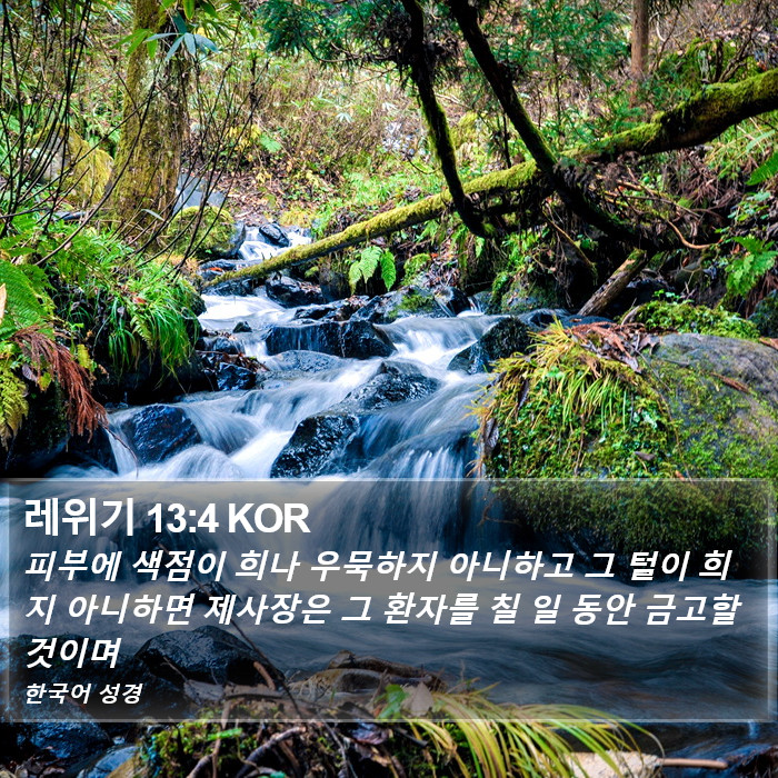레위기 13:4 KOR Bible Study