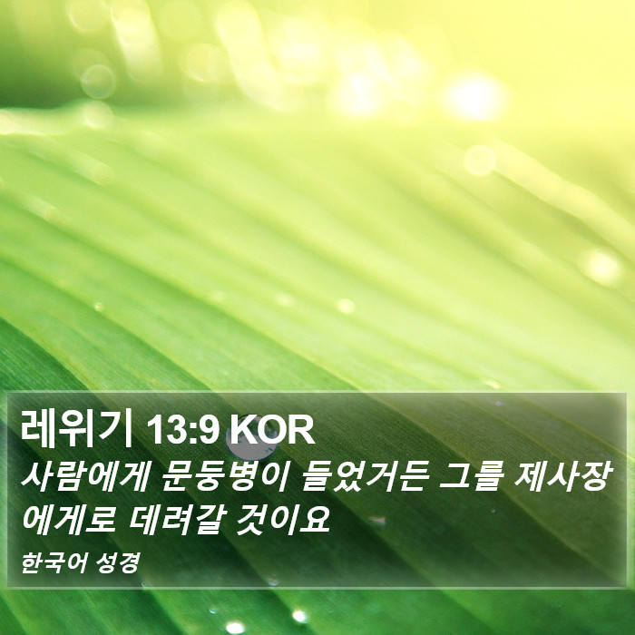 레위기 13:9 KOR Bible Study