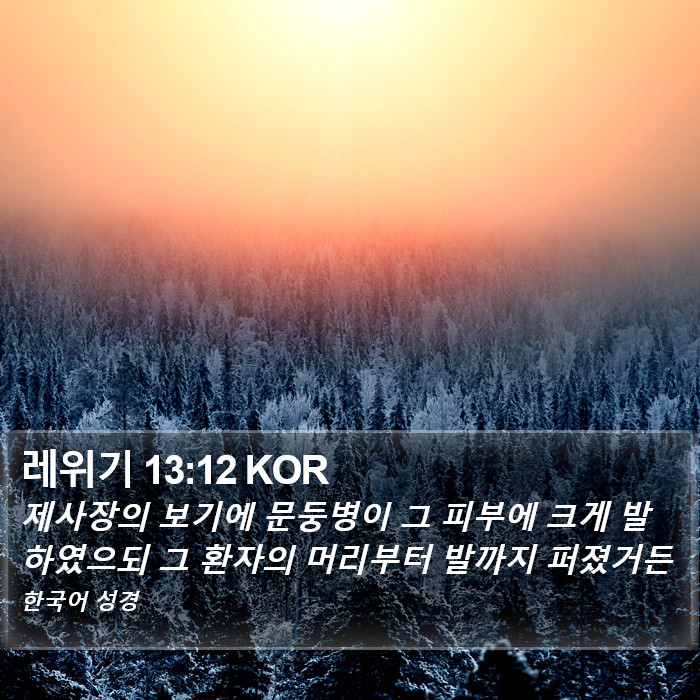 레위기 13:12 KOR Bible Study