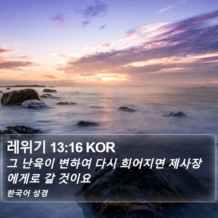 레위기 13:16 KOR Bible Study
