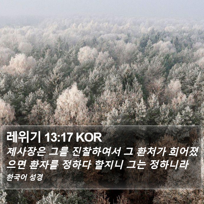 레위기 13:17 KOR Bible Study