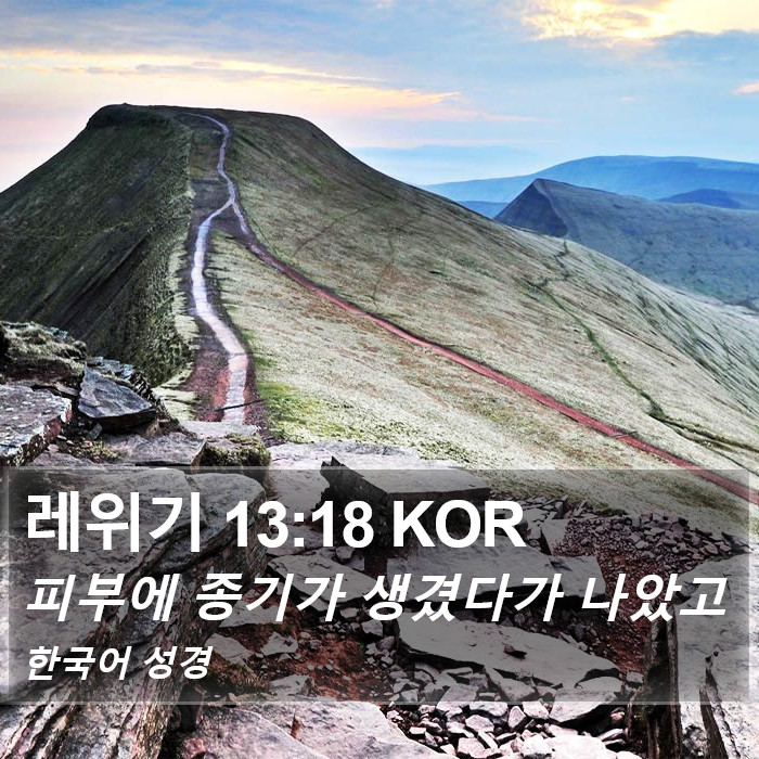 레위기 13:18 KOR Bible Study