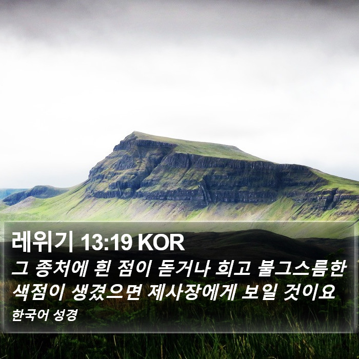 레위기 13:19 KOR Bible Study