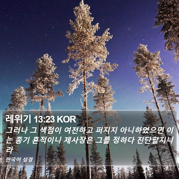 레위기 13:23 KOR Bible Study