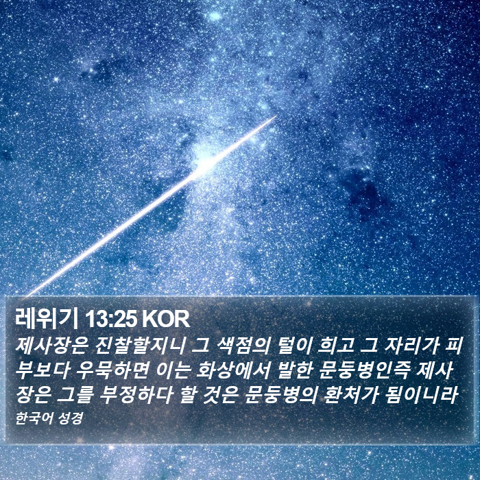 레위기 13:25 KOR Bible Study