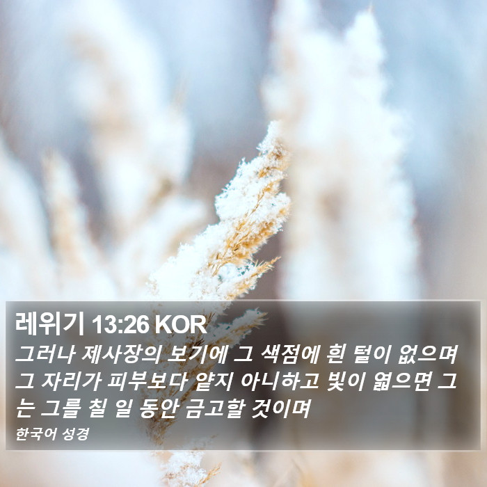 레위기 13:26 KOR Bible Study