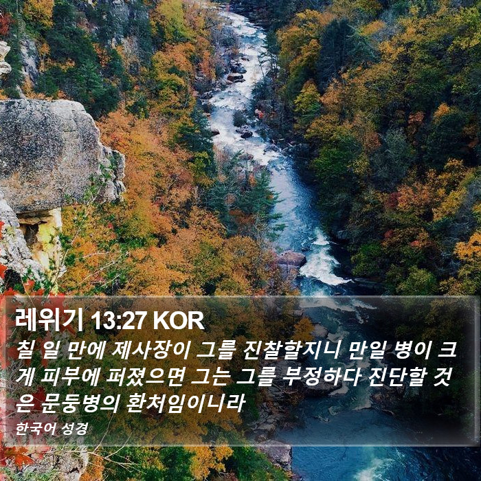 레위기 13:27 KOR Bible Study