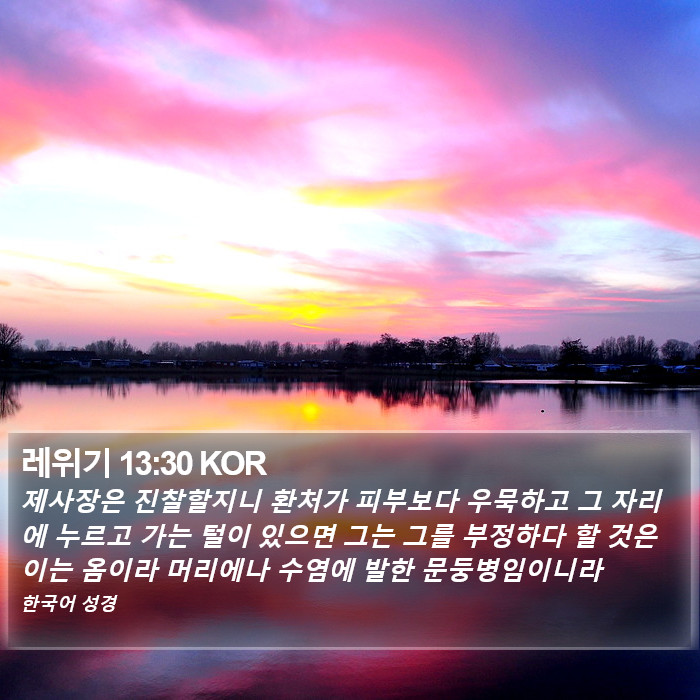 레위기 13:30 KOR Bible Study