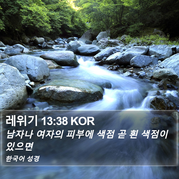레위기 13:38 KOR Bible Study