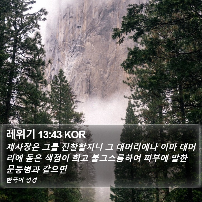 레위기 13:43 KOR Bible Study