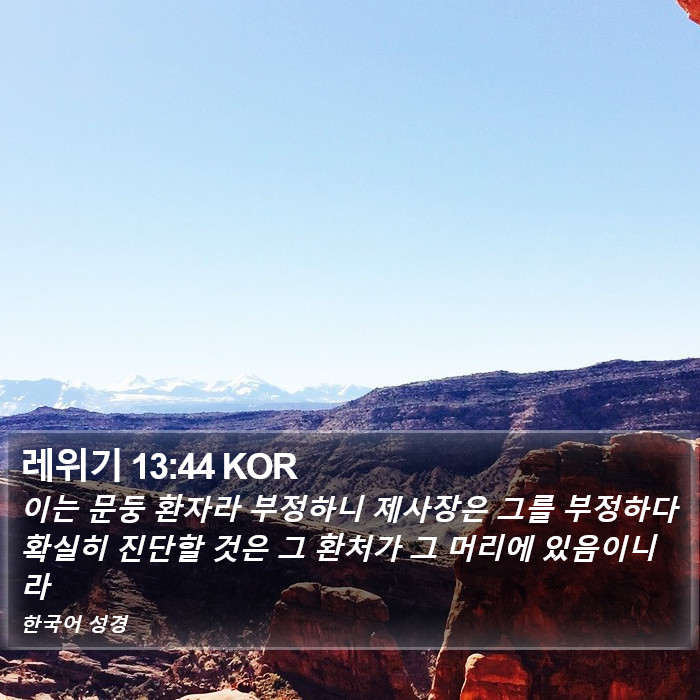 레위기 13:44 KOR Bible Study