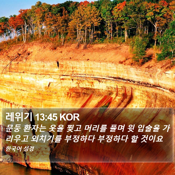 레위기 13:45 KOR Bible Study