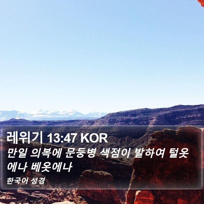 레위기 13:47 KOR Bible Study