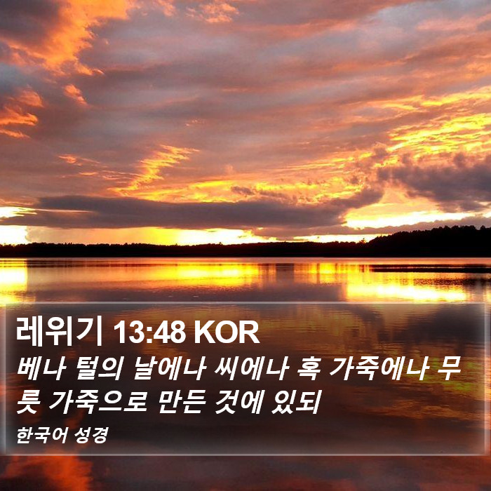 레위기 13:48 KOR Bible Study