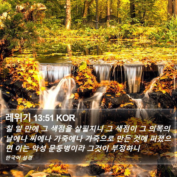 레위기 13:51 KOR Bible Study