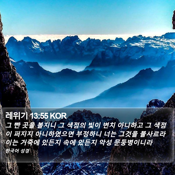 레위기 13:55 KOR Bible Study