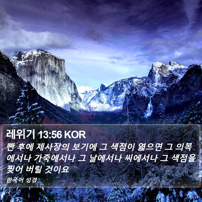 레위기 13:56 KOR Bible Study