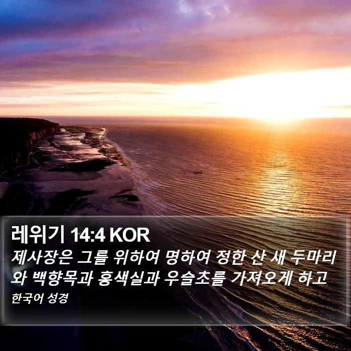 레위기 14:4 KOR Bible Study