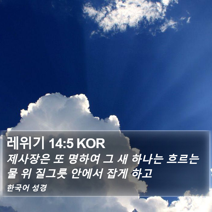 레위기 14:5 KOR Bible Study
