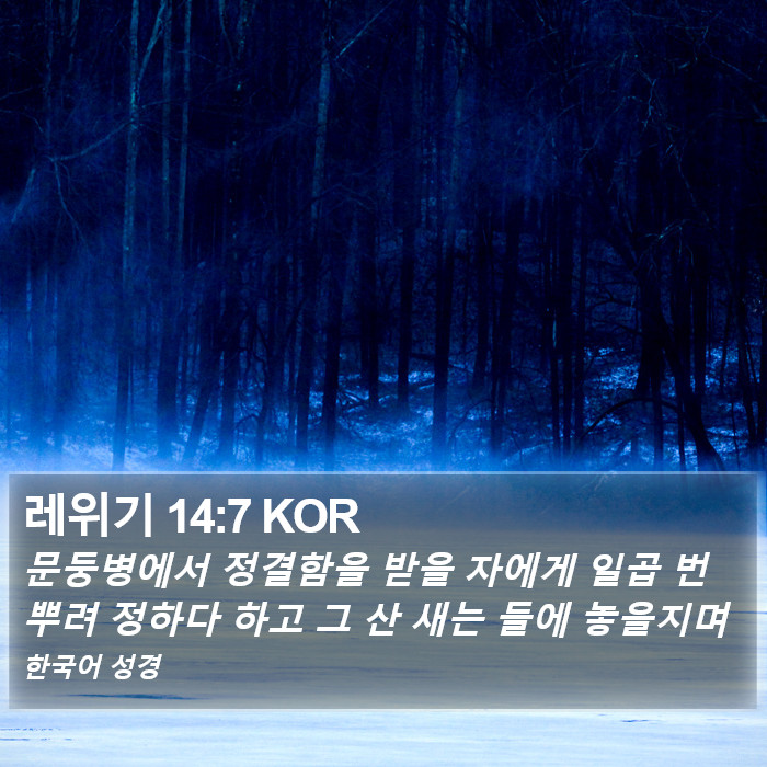 레위기 14:7 KOR Bible Study