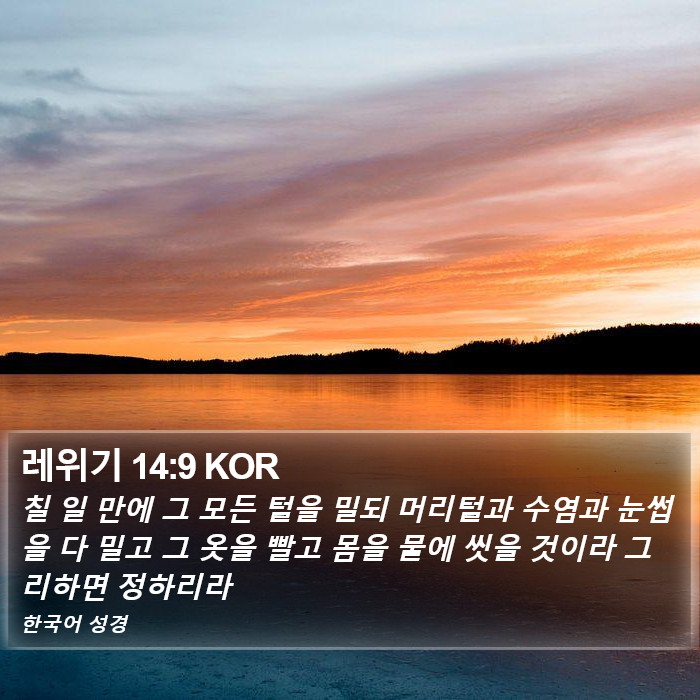 레위기 14:9 KOR Bible Study