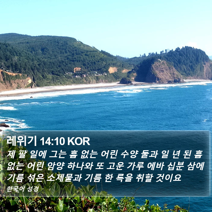 레위기 14:10 KOR Bible Study