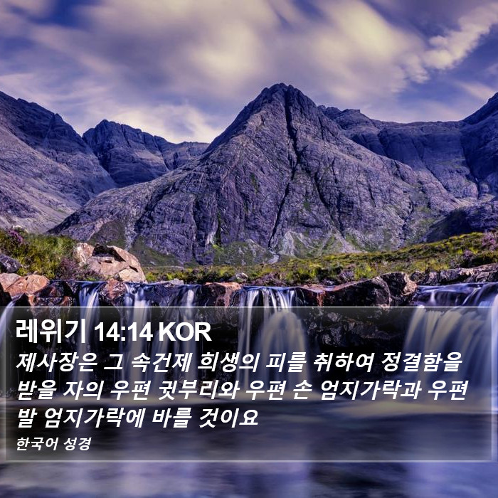 레위기 14:14 KOR Bible Study