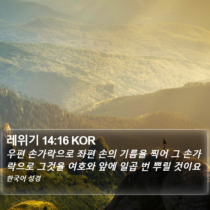 레위기 14:16 KOR Bible Study