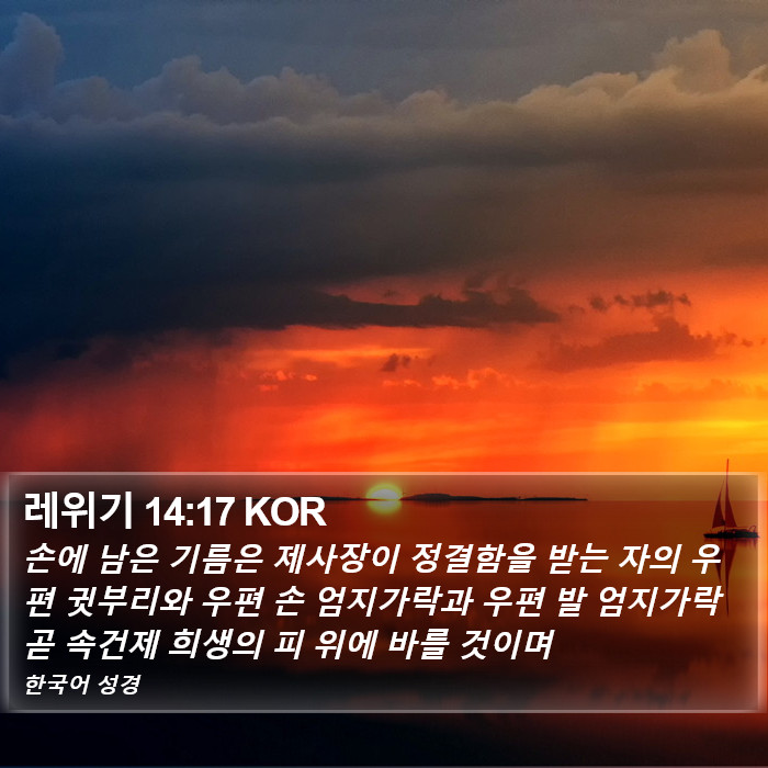 레위기 14:17 KOR Bible Study