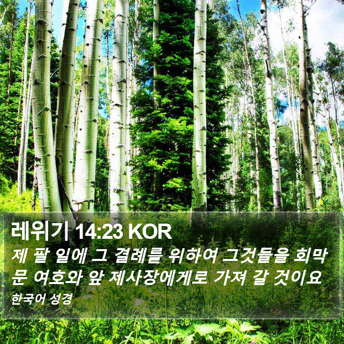 레위기 14:23 KOR Bible Study