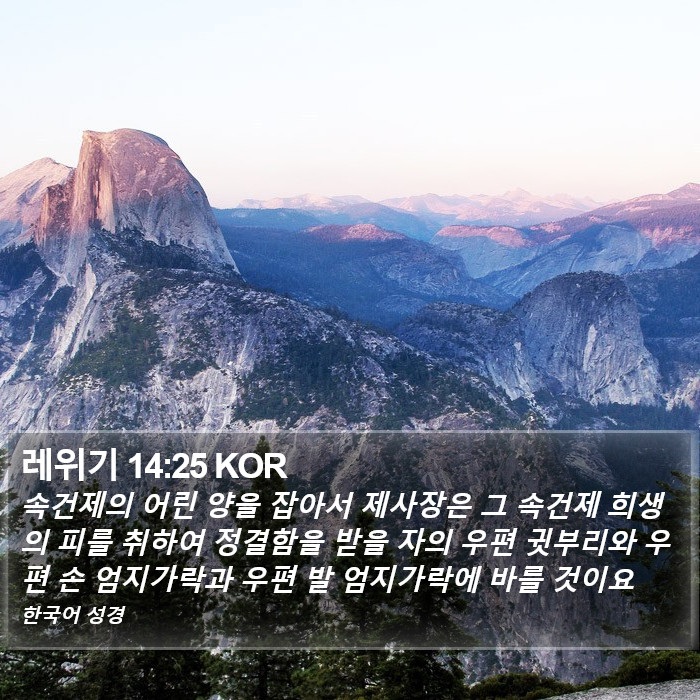 레위기 14:25 KOR Bible Study