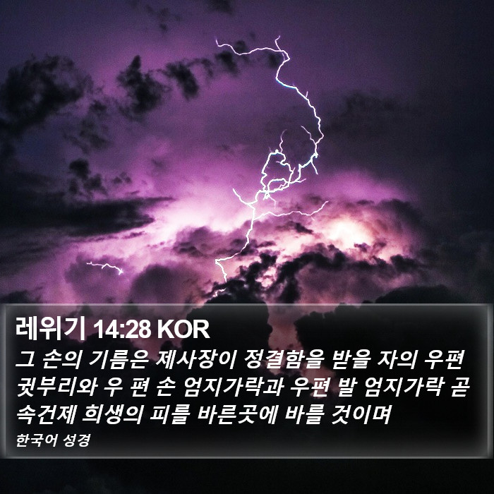 레위기 14:28 KOR Bible Study