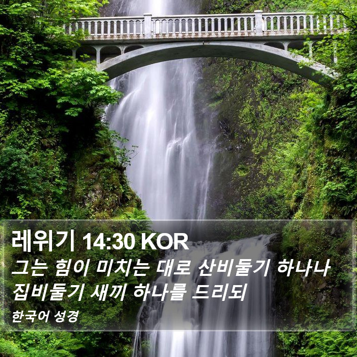 레위기 14:30 KOR Bible Study