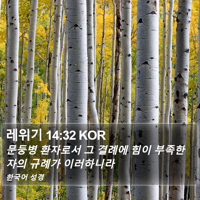 레위기 14:32 KOR Bible Study