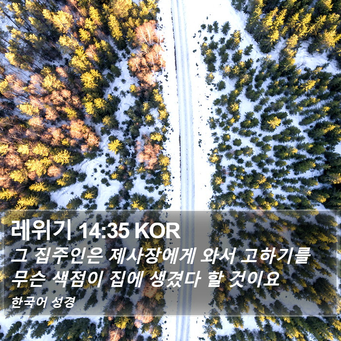 레위기 14:35 KOR Bible Study