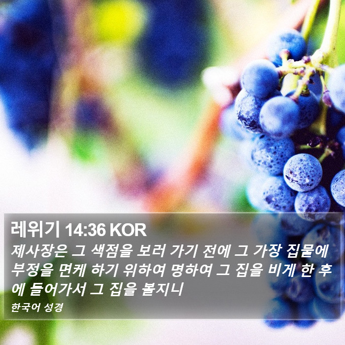 레위기 14:36 KOR Bible Study