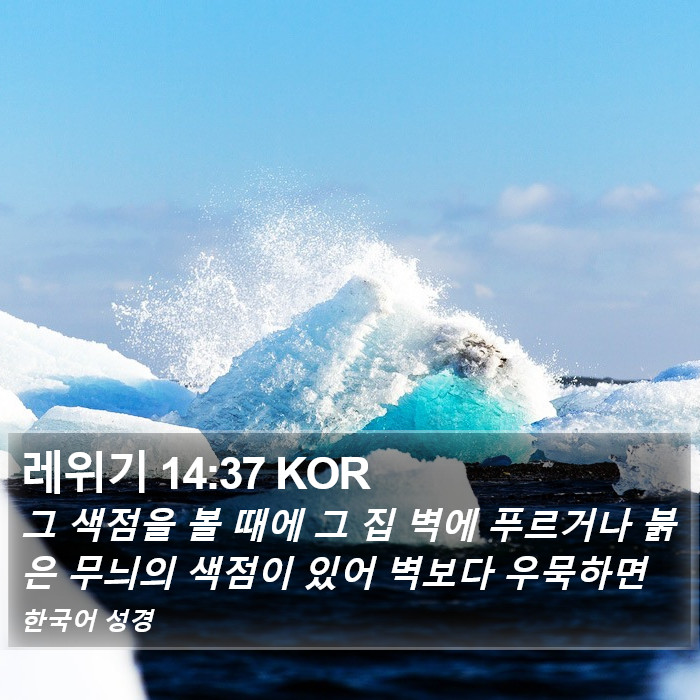 레위기 14:37 KOR Bible Study