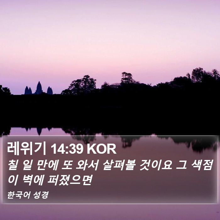 레위기 14:39 KOR Bible Study