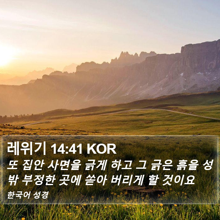 레위기 14:41 KOR Bible Study