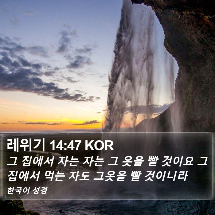 레위기 14:47 KOR Bible Study