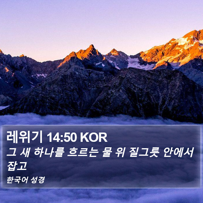 레위기 14:50 KOR Bible Study
