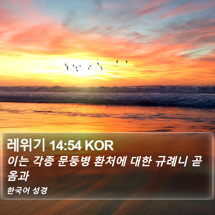 레위기 14:54 KOR Bible Study