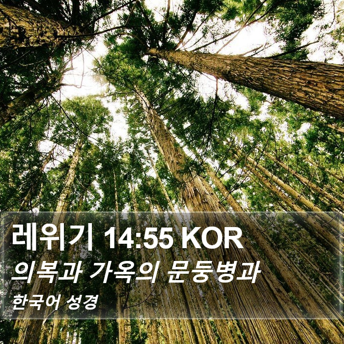 레위기 14:55 KOR Bible Study