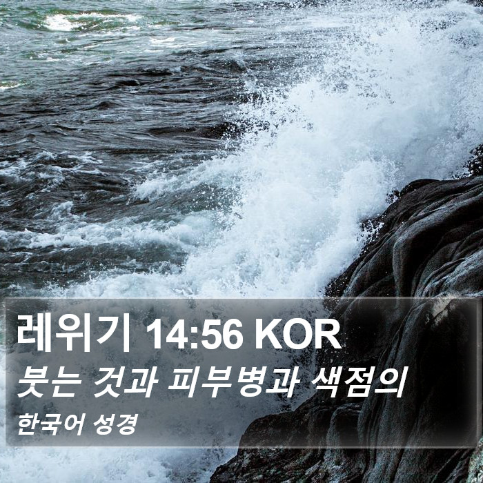 레위기 14:56 KOR Bible Study