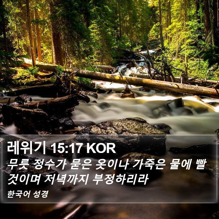 레위기 15:17 KOR Bible Study