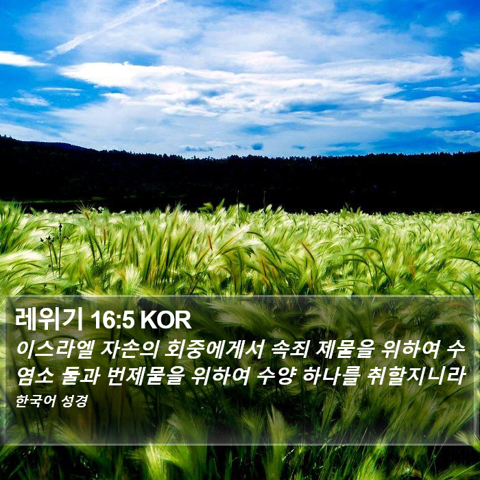 레위기 16:5 KOR Bible Study