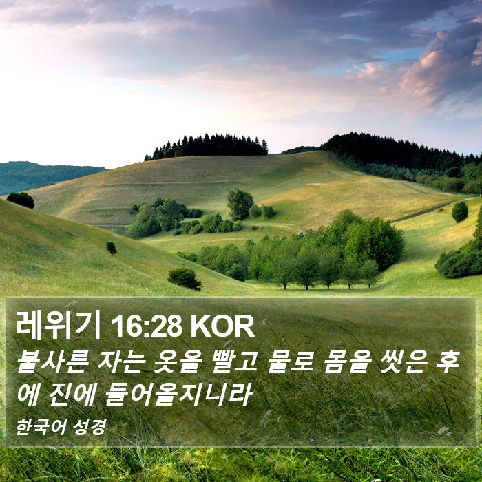 레위기 16:28 KOR Bible Study